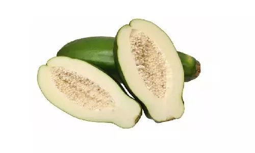 papaya benefits papaya benefits
