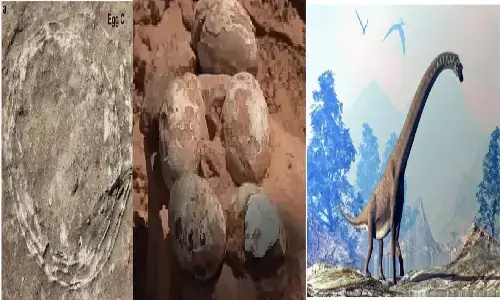 मध्य प्रदेश में मिला डायनासोर का अंडा जिसके अंदर भी एक अंडा है, यह दुनिया का पहला मामला है