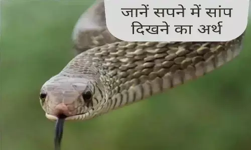 Snake Dream Interpretation: सपने में इस हालत में दिखे सांप तो तबाह हो जाएंगे आप, सब कुछ हो जाएगा खत्म, जानिए!