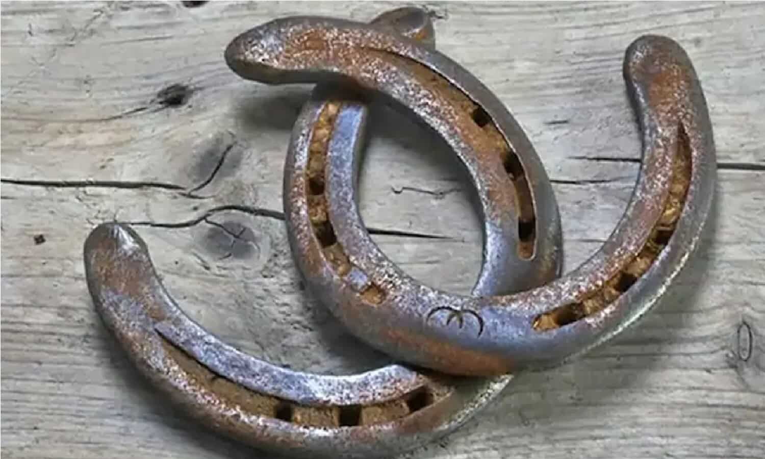 Horseshoe Benefits घर के द्वार में लगाएं घोड़े की नाल फिर होगी पैसो की