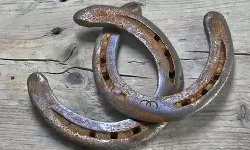 Horseshoe Benefits: घर के द्वार में लगाएं घोड़े की नाल फिर होगी पैसो की बारिश, बुरी शक्ति हो जाएगी नष्ट