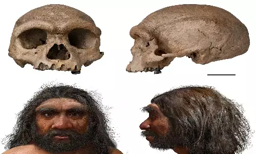 Massive Dragon Man: चाइना में मिला इंसानों का नया पूर्वज ड्रैगन मैन मनुष्य जीवन आरंभ के कई रहस्य सुलझे