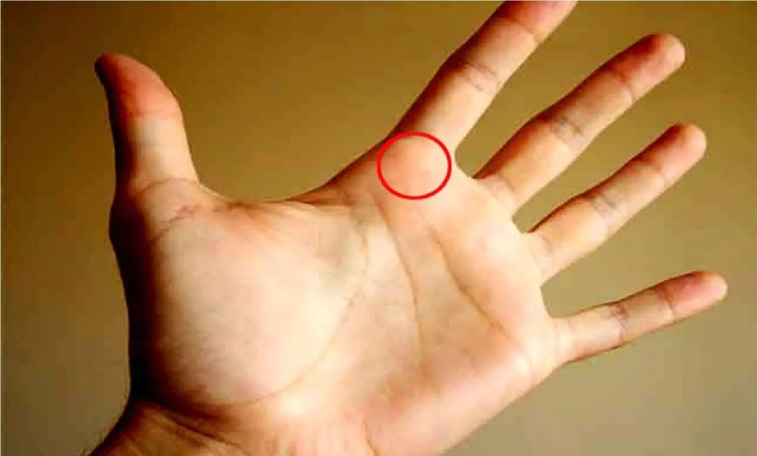 Palmistry: जिनके हाँथ में रहती है ऐसी रेखा वो रहते है जीवनभर मालामाल, जमीन-जायदाद की नहीं रहती कोई कमी