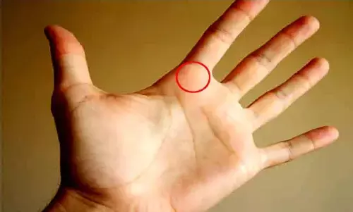 Palmistry: जिनके हाँथ में रहती है ऐसी रेखा वो रहते है जीवनभर मालामाल, जमीन-जायदाद की नहीं रहती कोई कमी