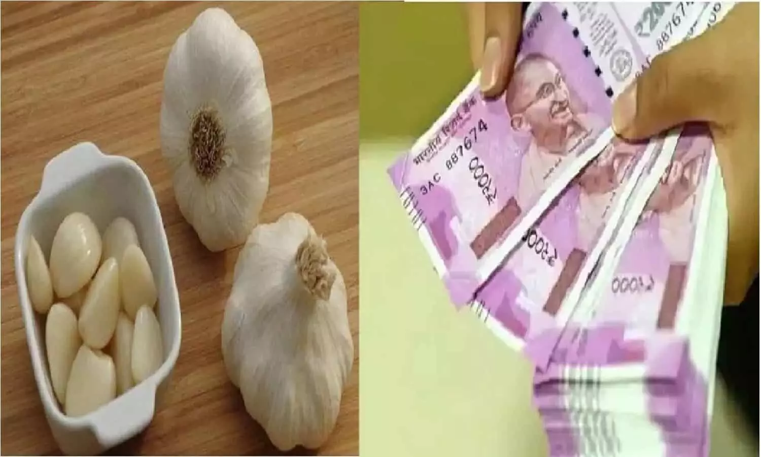 Lahsun Ka Totka: 9 कली लहसुन से करे टोटका, फिर देखे कमाल, जिंदगी रहेगी टेंशन फ्री