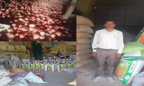 रीवा में प्याज और बीज उत्पादन ने बदली किसान की किस्मत, प्रतिवर्ष कमा रहे 15 लाख