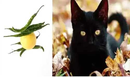 नींबू-मिर्ची से लेकर बिल्ली का रास्ता काटने तक, इन अंधविश्वासों का आज खुलासा हो जायेगा, जिसे जानना है आपका जरूरी नींबू-मिर्ची से लेकर बिल्ली का रास्ता काटने तक, इन अंधविश्वासों का आज खुलासा हो जायेगा, जिसे जानना है आपका जरूरी