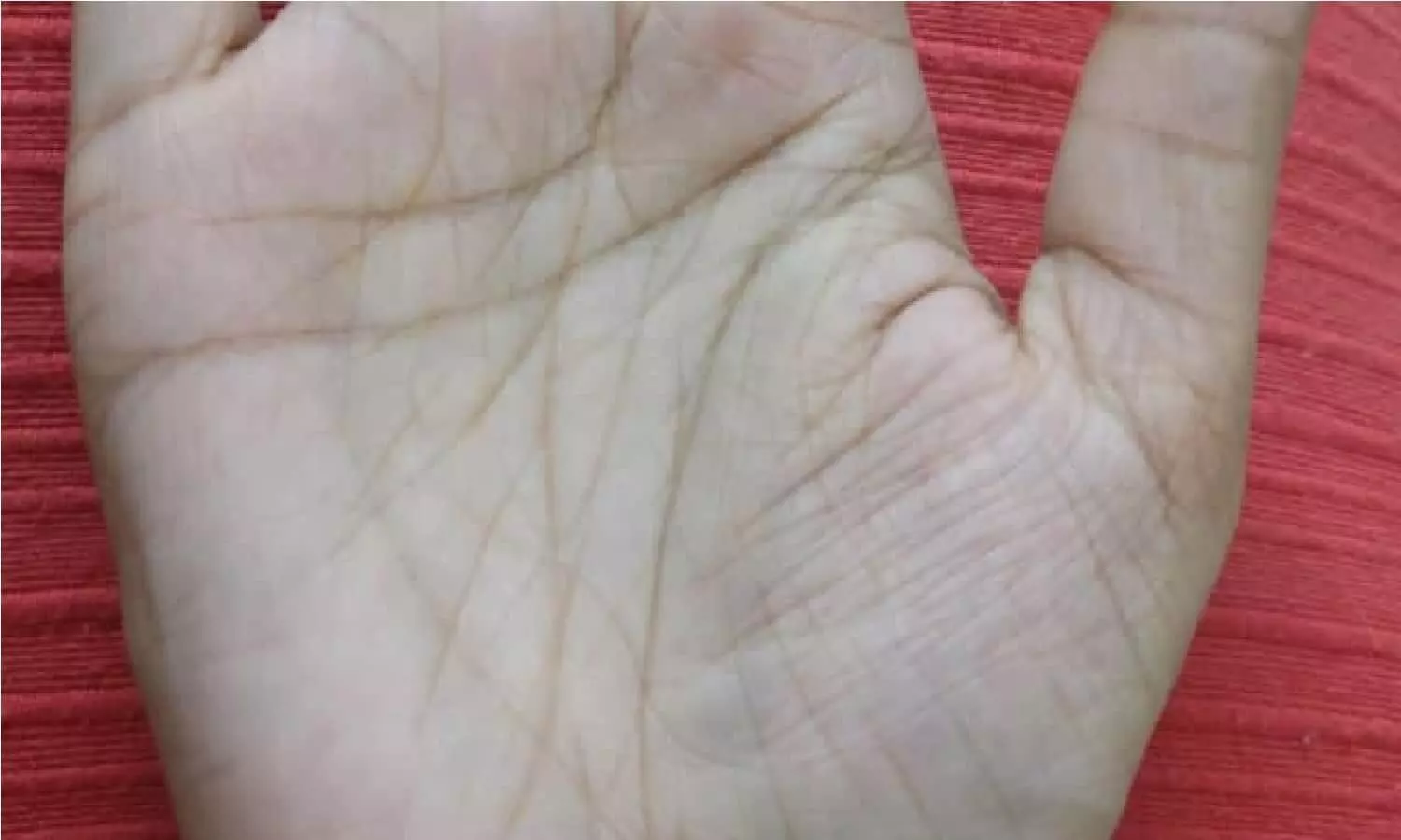 यह रेखा दिलाती है करोड़ों की धन दौलत, जल्दी से लूट लो