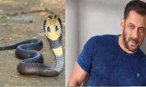 Salman Khan को तीन-तीन बार सांप ने काटा, जानिए