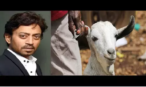 Irrfan Khan On Bakrid: बकरीद को लेकर अलग राय रखते थे एक्टर इरफ़ान खान, फैंस कर रहे मिस