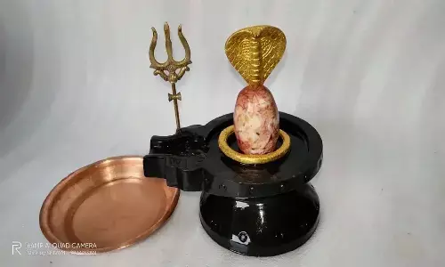 Shivling In House: घर में है शिवलिंग तो इन बातों का रखना चाहिए ध्यान, वरना हो सकता भारी नुकसान Shivling In House: घर में है शिवलिंग तो इन बातों का रखना चाहिए ध्यान, वरना हो सकता भारी नुकसान