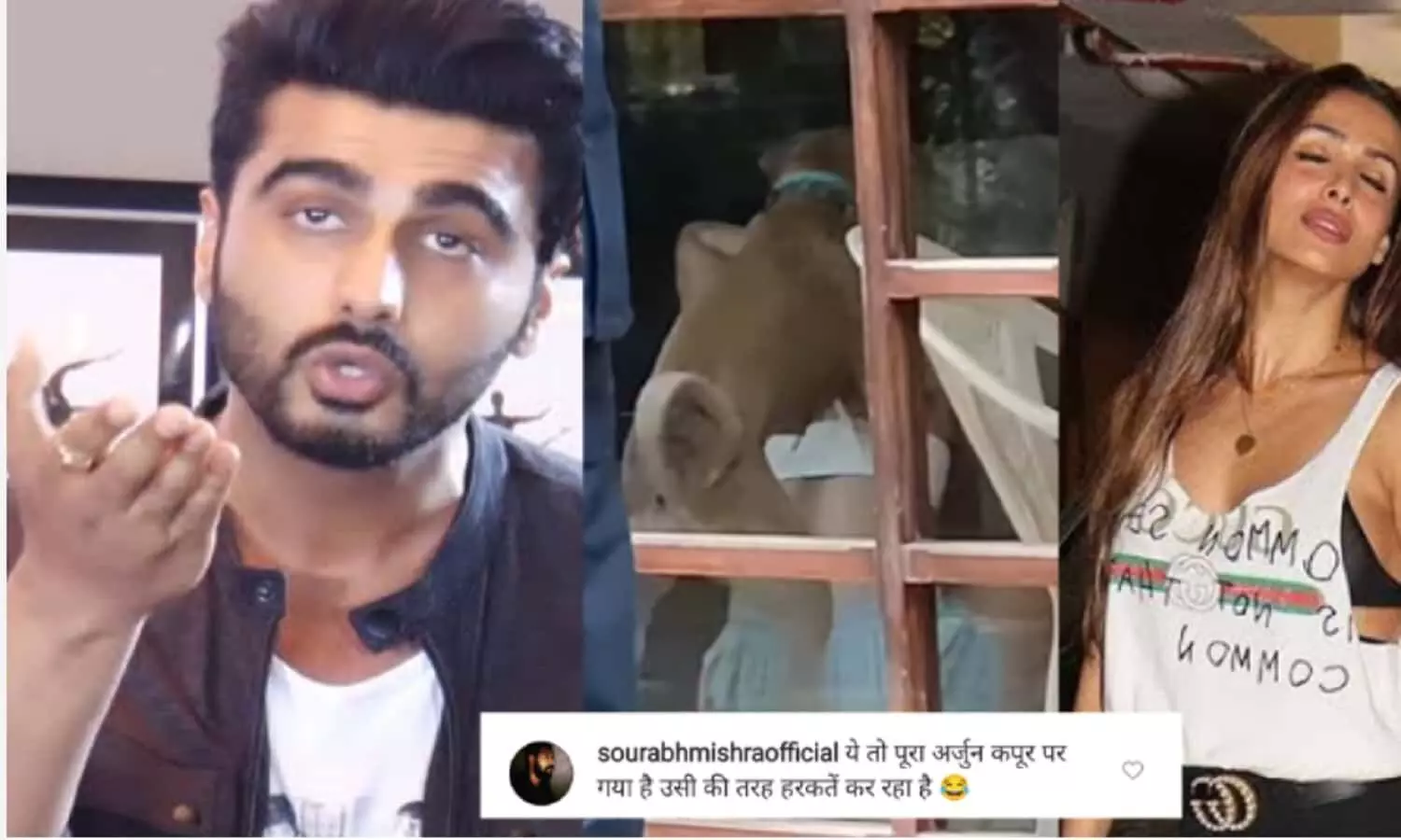 मलाइका के ऊपर चढ़कर कुत्ते ने कर दी ऐसी हरकत, वीडियो देख यूजर्स ने कहा ये तो अर्जुन जैसी हरकते..