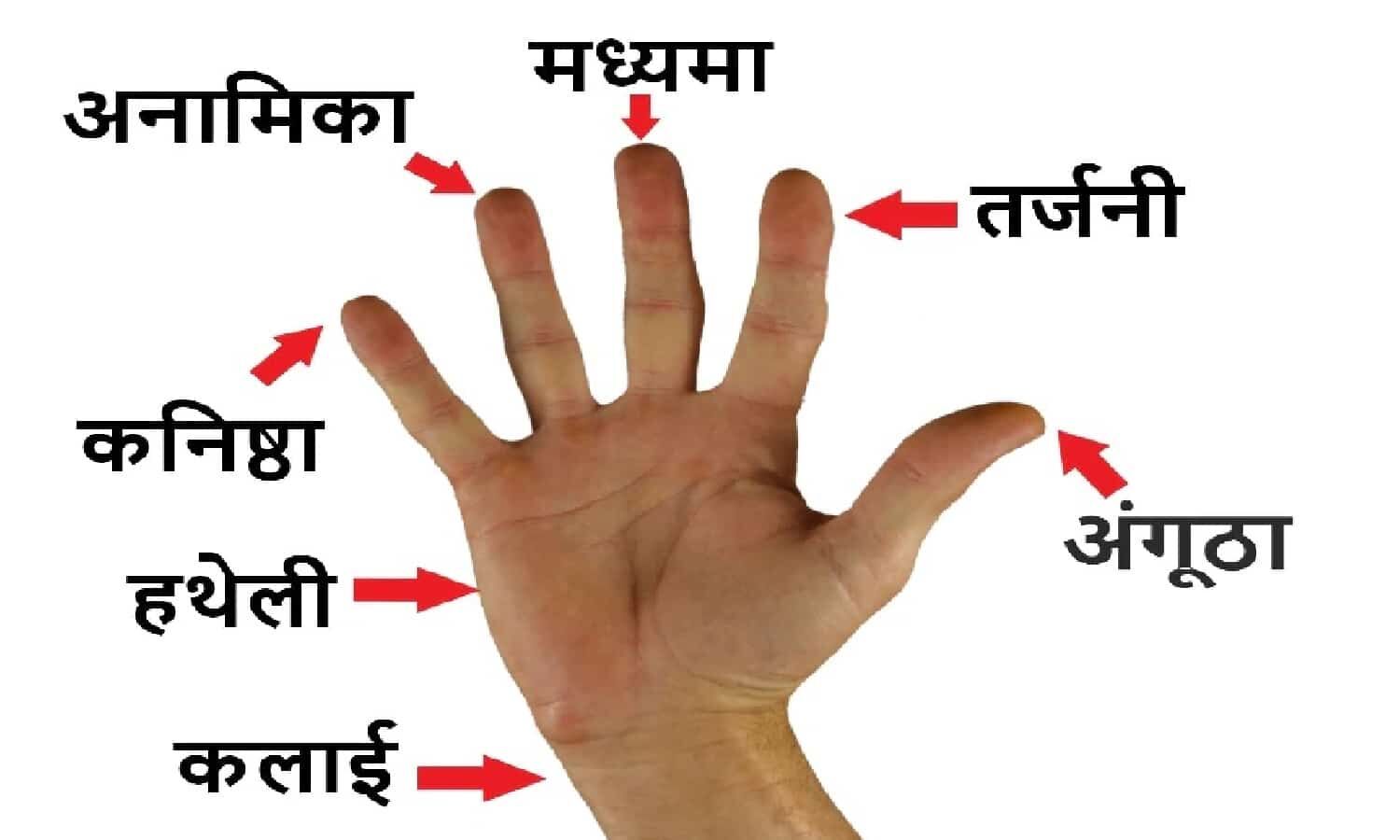 Finger Astrology in hindi करियर में तेजी से सफलता पाते है ऐसी उंगलियां