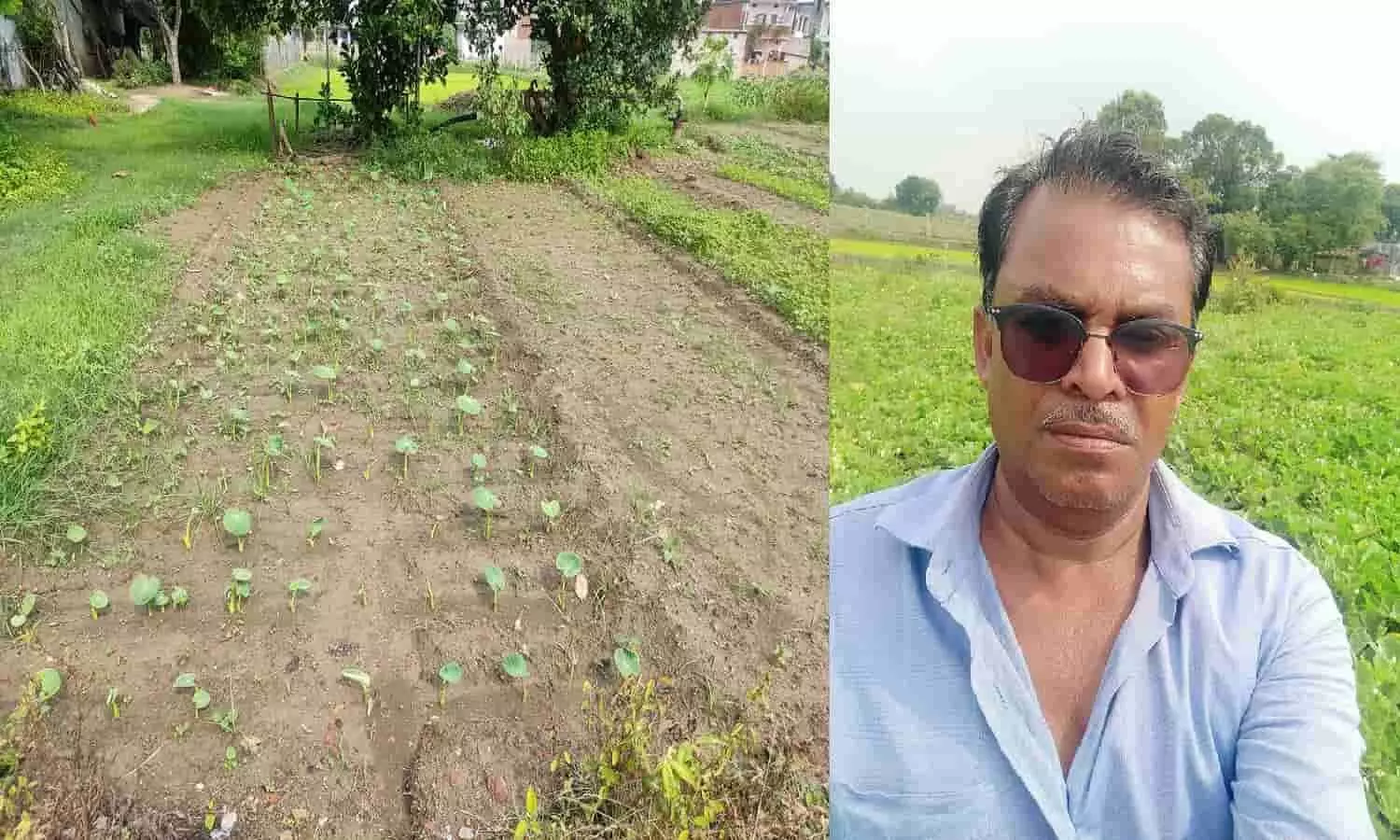 रीवा: सब्जी बेंच कर बदली किस्मत, प्रतिवर्ष 10 लाख से अधिक की कर रहे कमाई रीवा: सब्जी बेंच कर बदली किस्मत, प्रतिवर्ष 10 लाख से अधिक की कर रहे कमाई