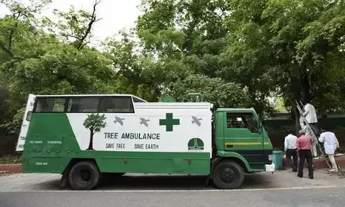 Tree Ambulance: अब बीमार पेड़ों की रक्षा करेगी ट्री एंबुलेंस, नगर निगम ने शुरू की यह व्यवस्था Tree Ambulance: अब बीमार पेड़ों की रक्षा करेगी ट्री एंबुलेंस, नगर निगम ने शुरू की यह व्यवस्था