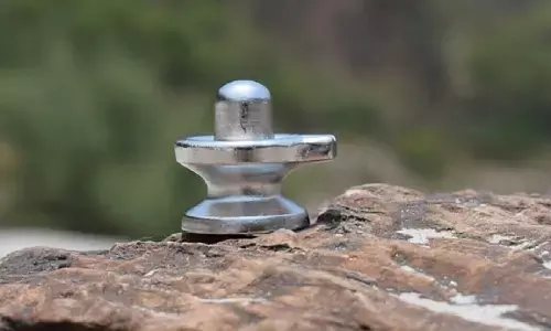 Parad Shivling: घर में पूजा करने के लिए सर्वश्रेष्ठ है पारद शिवलिंग, पूर्ण होती हैं मनोकामनाएं, नहीं होती अकाल मृत्यु