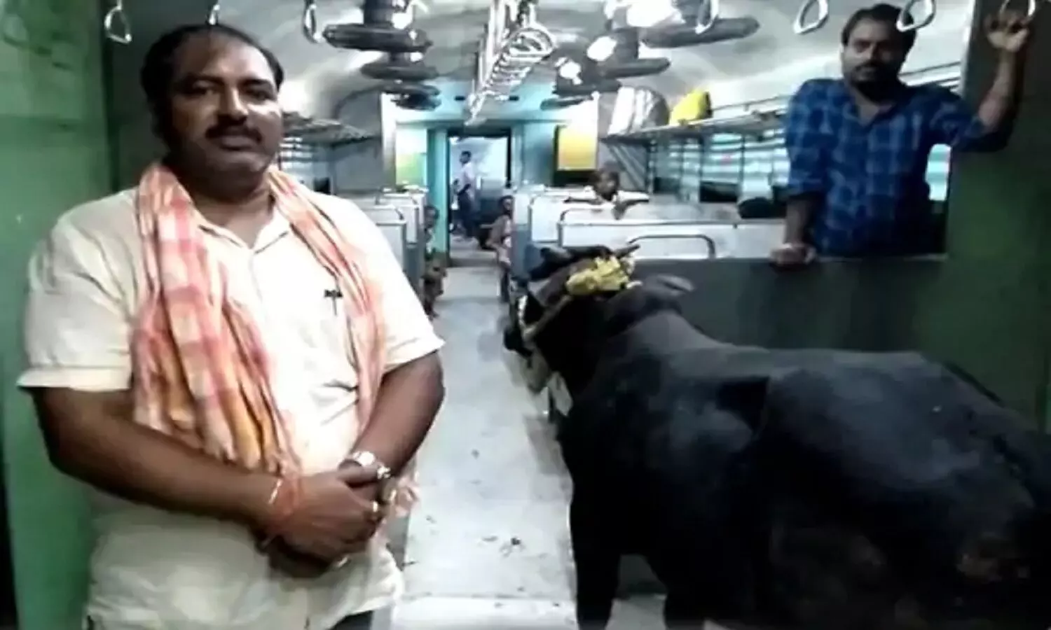 bull in bihar train