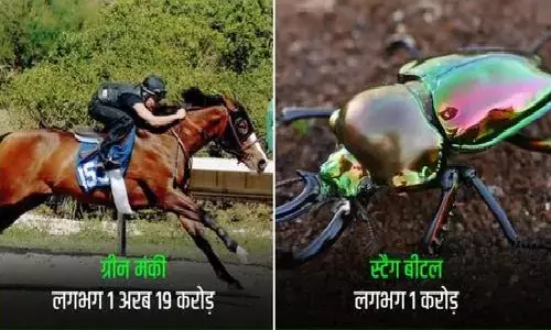 Worlds Most Expensive Pet Animals: दुनिया के सबसे महंगे पालतू जानवर