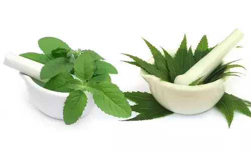 Neem And Basil Benefits: सुबह खाली पेट नीम और तुलसी की पत्तियां खाने के फायदे जान उछल पड़ेंगे आप