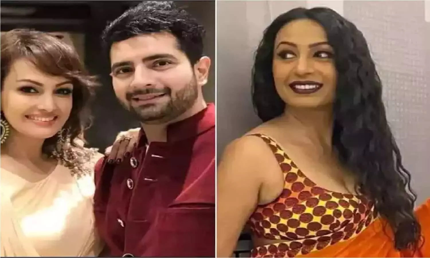 Karan Mehra and Nisha Rawal Case: निशा रावल और करण मेहरा केस में गवाह बनी Kashmera Shah, एक्ट्रेस Nisha Rawal की खोली पोल