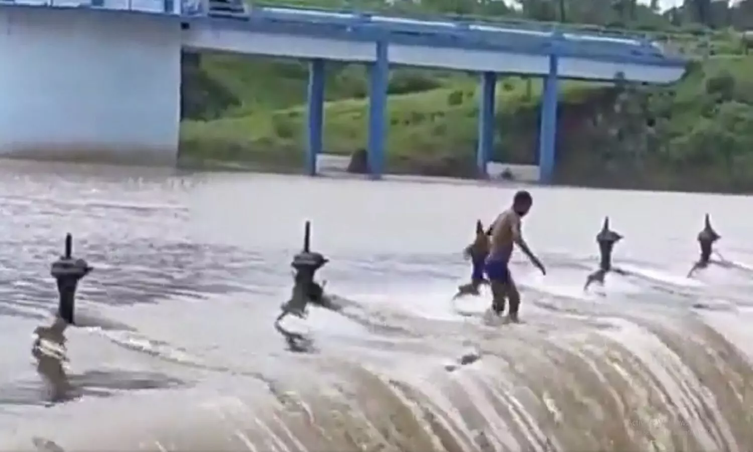 MP Umaria: एमपी के उमरिया में नदी के तेज बहाव में बहा आरक्षक, करहिया डैम में नहाते समय हुआ हादसा