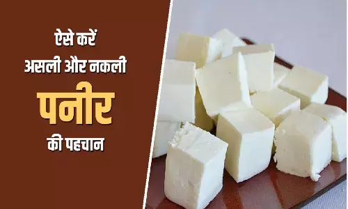 How To Test Paneer Is Real Or Fake: पनीर असली है या नकली कैसे पता करें?