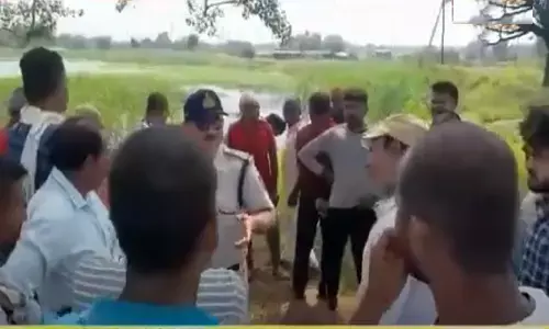 REWA: सड़क पर उतरे ग्रामीण, सूअरों से हैं परेशान, प्रशासन ने दी समझाइस