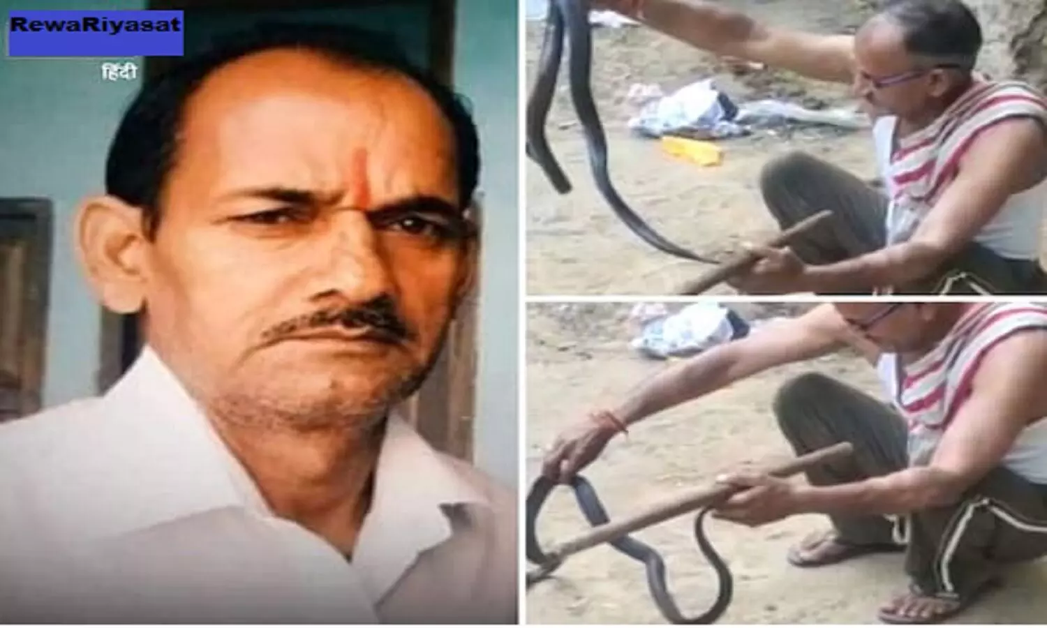 कोबरा पकड़ने गए विनोद तिवाड़ी को सांप ने डस लिया, कुछ ही मिनट में मौत हो गई, देखें वीडियो