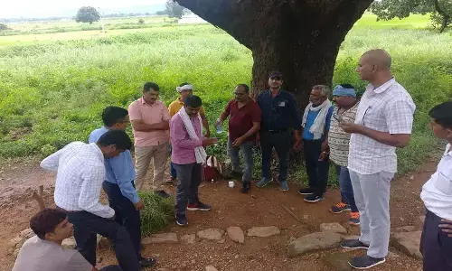 एमपी के सीधी में पांच हजार की रिश्वत लेते पटवारी ट्रैप, नामांतरण के लिए मांगी थी घूंस