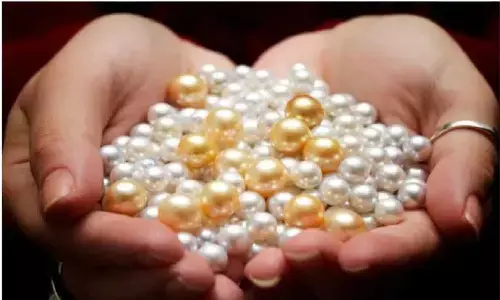Pearl Farming Business In Hindi 2022: सिर्फ 25 हजार लगाकर शुरू करे मोती की खेती, हर महीने होगी 3 लाख रुपये तक की कमाई Pearl Farming Business In Hindi 2022: सिर्फ 25 हजार लगाकर शुरू करे मोती की खेती, हर महीने होगी 3 लाख रुपये तक की कमाई