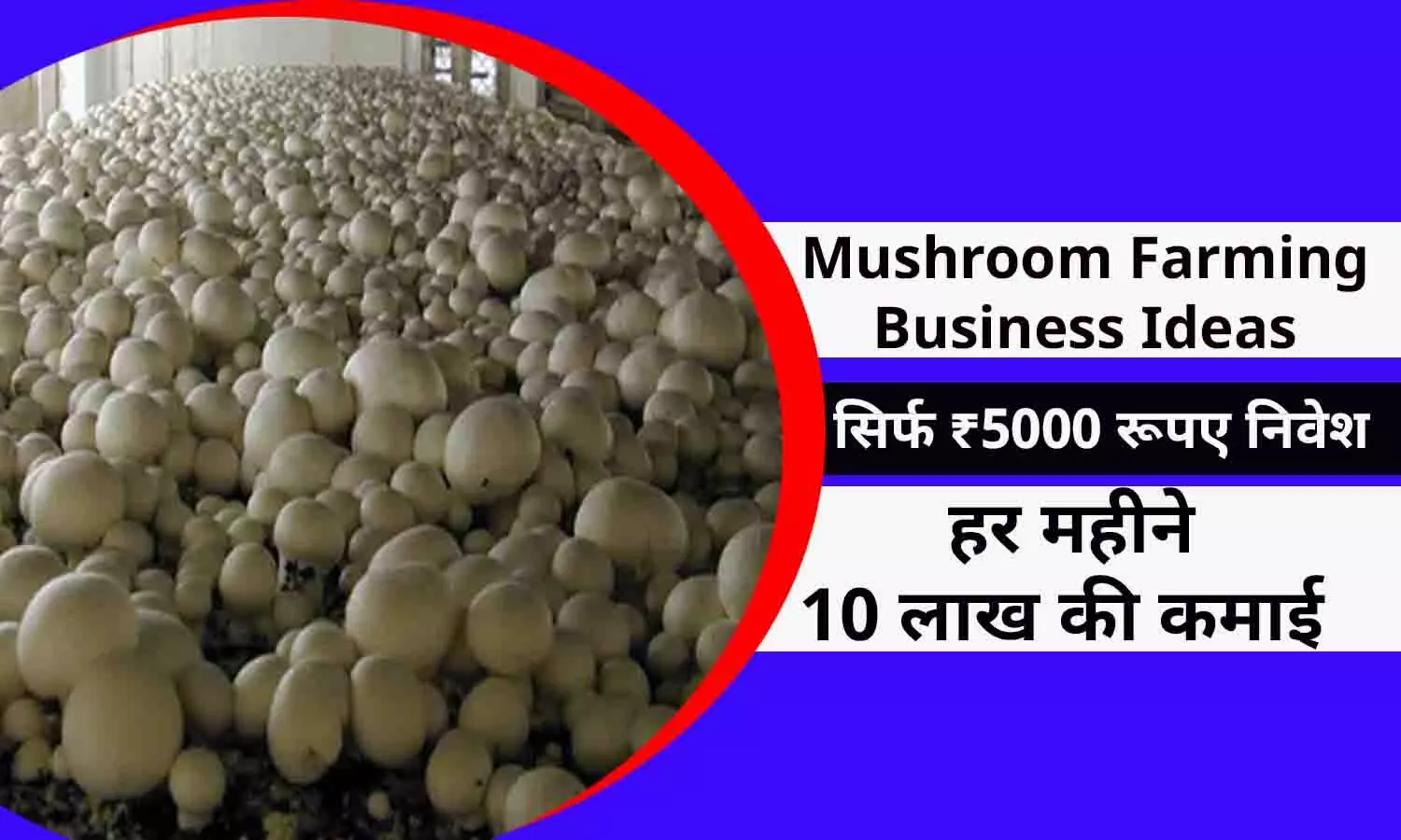 New Business Idea In Hindi 2022: सिर्फ ₹5000 रूपए लगाकर हर महीने करे 10 लाख की कमाई