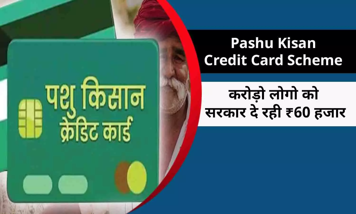 Pashu Kisan Credit Card Scheme In Hindi 2022: पशु किसान क्रेडिट कार्ड योजना को लेकर नया अपडेट, करोड़ो लोगो को सरकार दे रही ₹60 हजार, ये है प्रोसेस