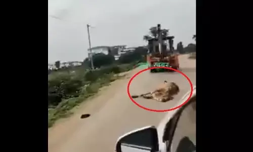 Satna MP News Satna MP News