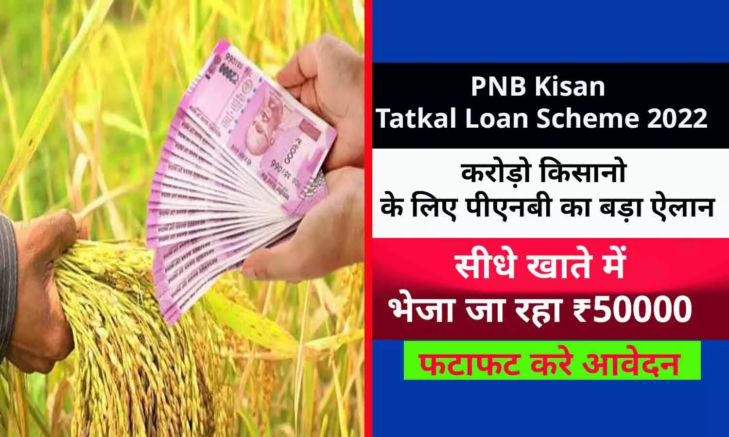 PNB Kisan Tatkal Loan Scheme 2022: खुशखबरी! करोड़ो किसानो के लिए पीएनबी का बड़ा ऐलान, सीधे खाते में दे रहा ₹50000, फटाफट करे आवेदन