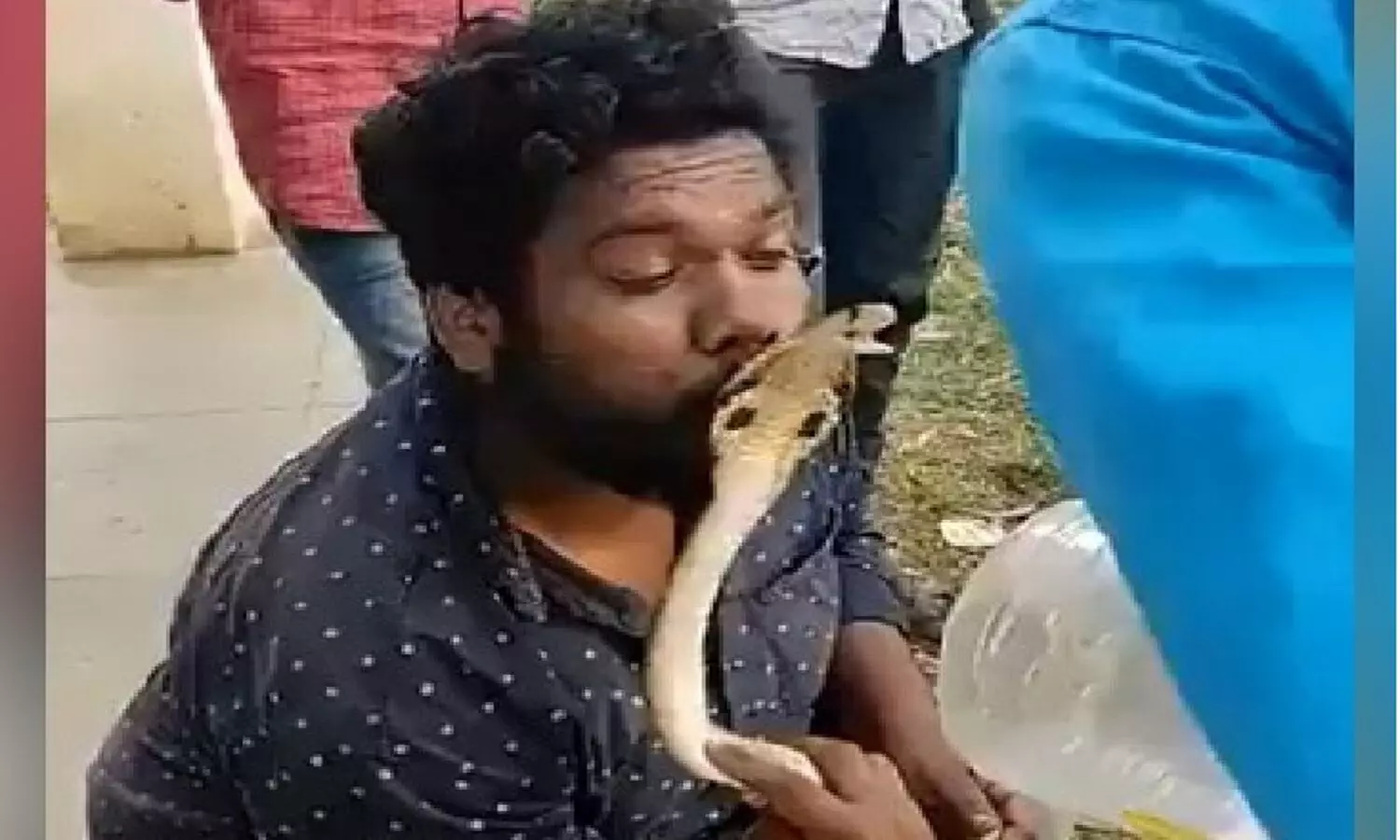 shimoga Snake Bite Video: सांप को हाथ में लेकर चुम्मा दे रहा था, किंग कोबरा ने डस लिया