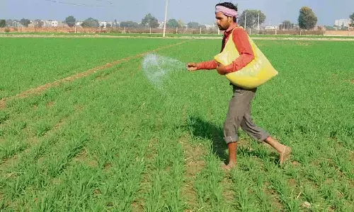 Rewa MP News Rewa MP News