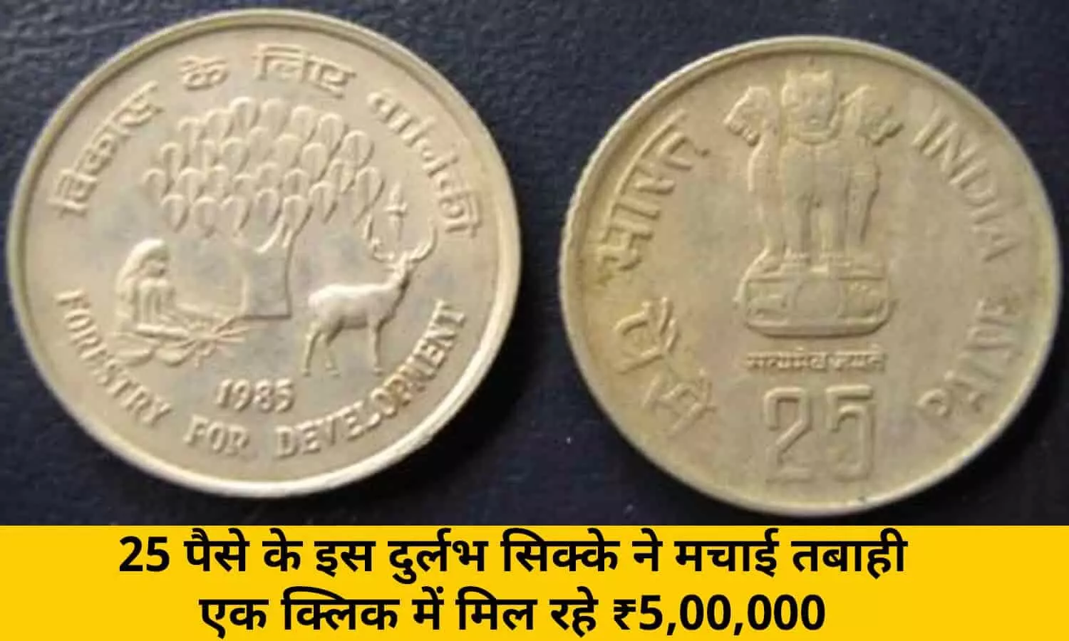 Rare Coin Price