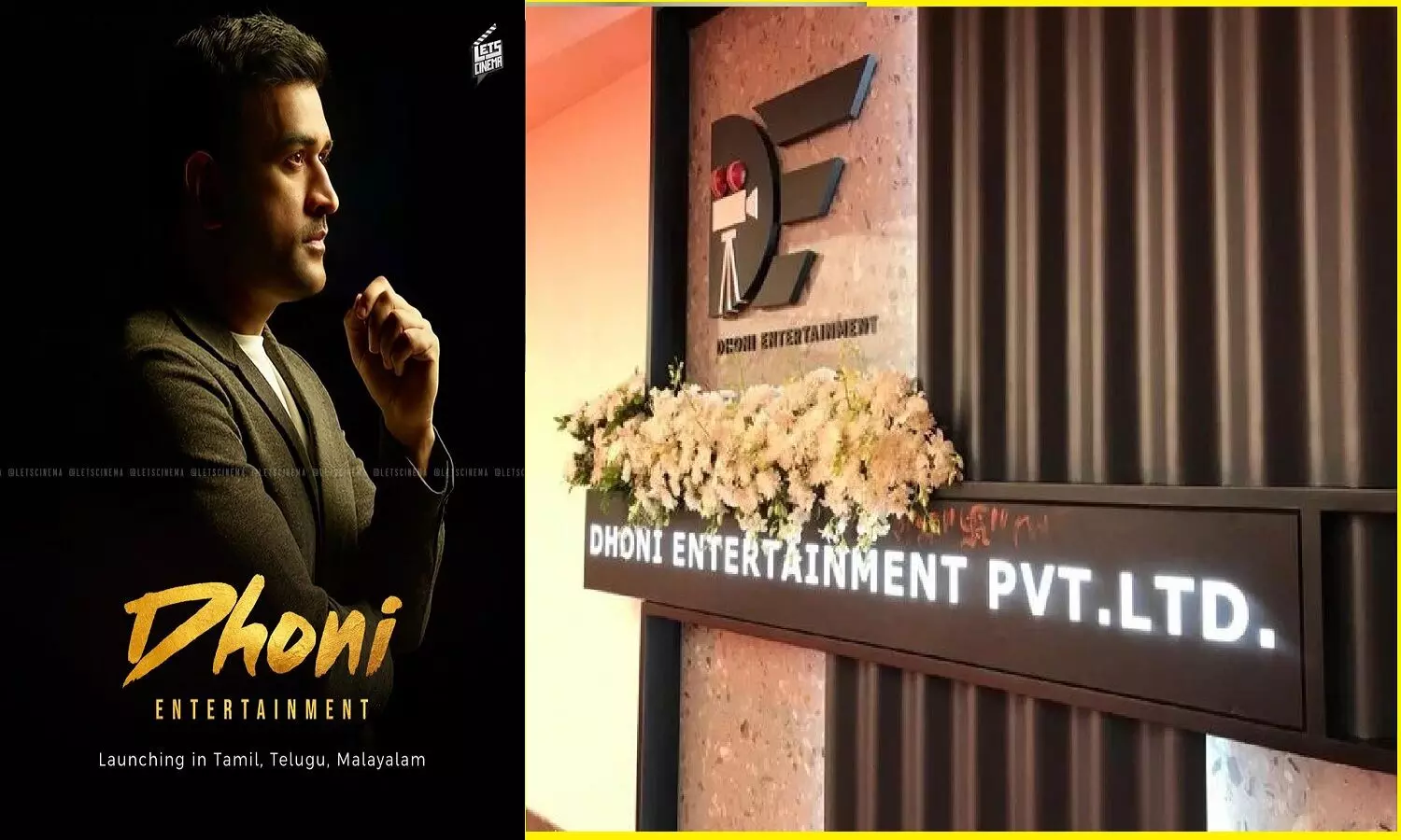 Dhoni Movie Debut: महेंद्र सिंह धोनी फिल्म बनाने वाले हैं? साऊथ इंडियन फिल्मों के प्रोड्यूसर बनेंगे