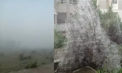 Tikamgarh fog : एमपी के इतिहास में पहली बार अक्टूबर महीने में टीकमगढ़ में छाया घना कोहरा