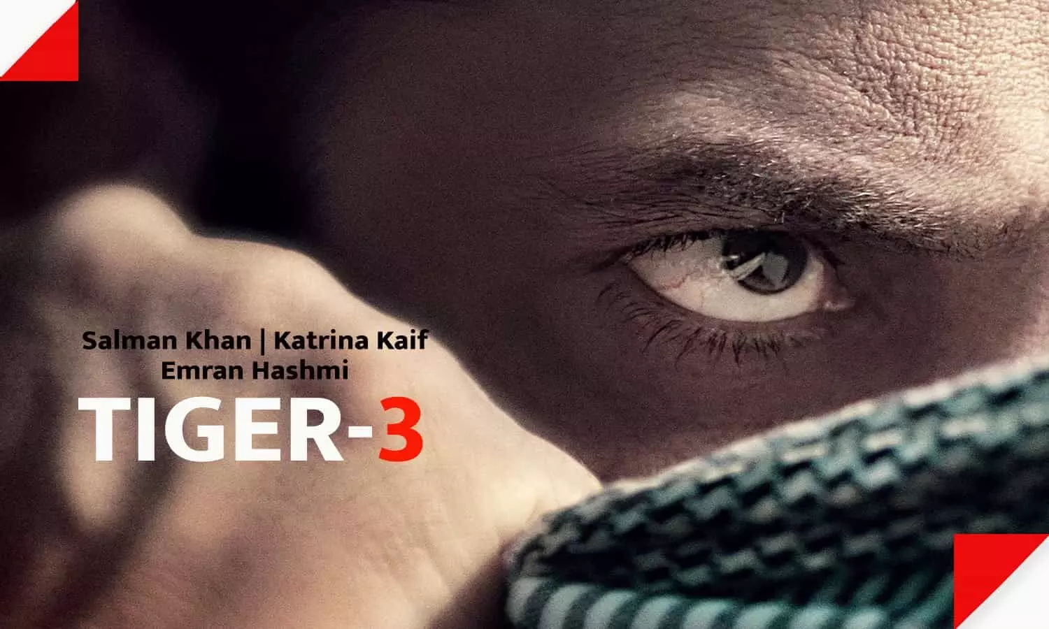 Tiger 3 Release Date: ईद नहीं, इस त्योहार को रिलीज होगी सलमान खान-कटरीना कैफ की फिल्म टाइगर-3
