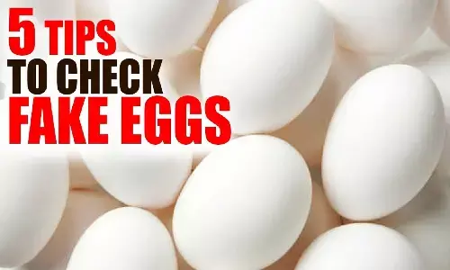 Artificial Eggs : नकली अंडो की पहचान कैसे करें? इन टिप्स से जानें फ़ौरन Artificial Eggs : नकली अंडो की पहचान कैसे करें? इन टिप्स से जानें फ़ौरन