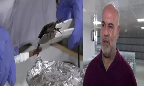 Scorpion Venom Business: बिच्छू का जहर बेचने का बिज़नेस कर ये आदमी पैसा पीटे जा रहा है