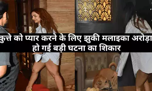 कुत्ते को प्यार करने के लिए झुकी मलाइका अरोड़ा, हो गई बड़ी घटना का शिकार