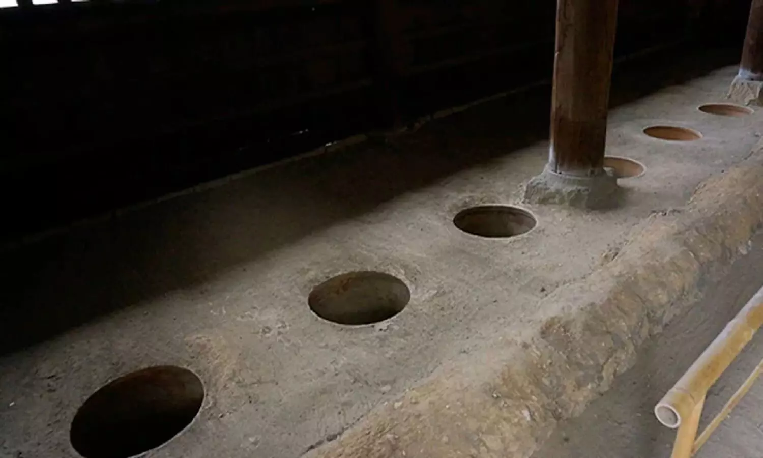 Japans Oldest Toilet : जापान के 500 साल पुराने टॉयलेट्स में हुए हादसे से सदमे में जापान के लोग