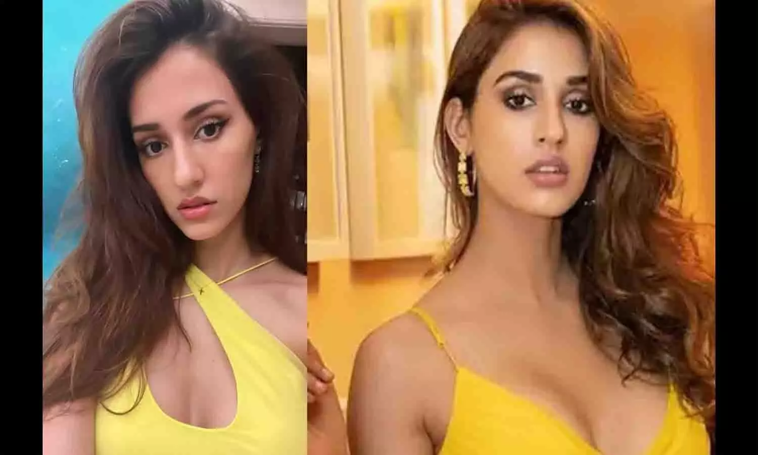 Disha Patani का बना नया बॉयफ्रेंड? देखे वीडियो