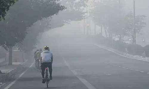 MP Weather Forecast 2022