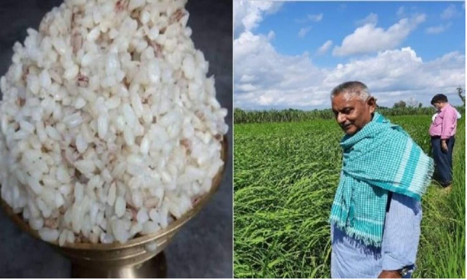 ठंडे पानी में पकने वाला चावल जो होता है शुगर फ्री, किसान इस Magic Rice ...
