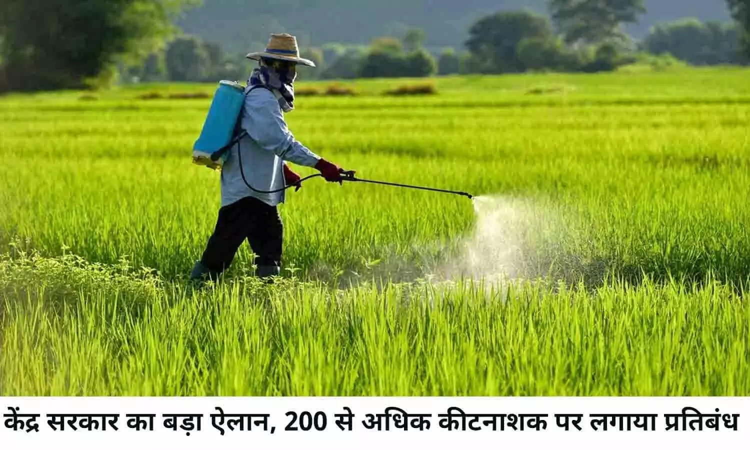 List of Banned Pesticides In Hindi 2022: केंद्र सरकार का बड़ा ऐलान, 200 से अधिक कीटनाशक पर लगाया प्रतिबंध, फटाफट देखे पूरी लिस्ट