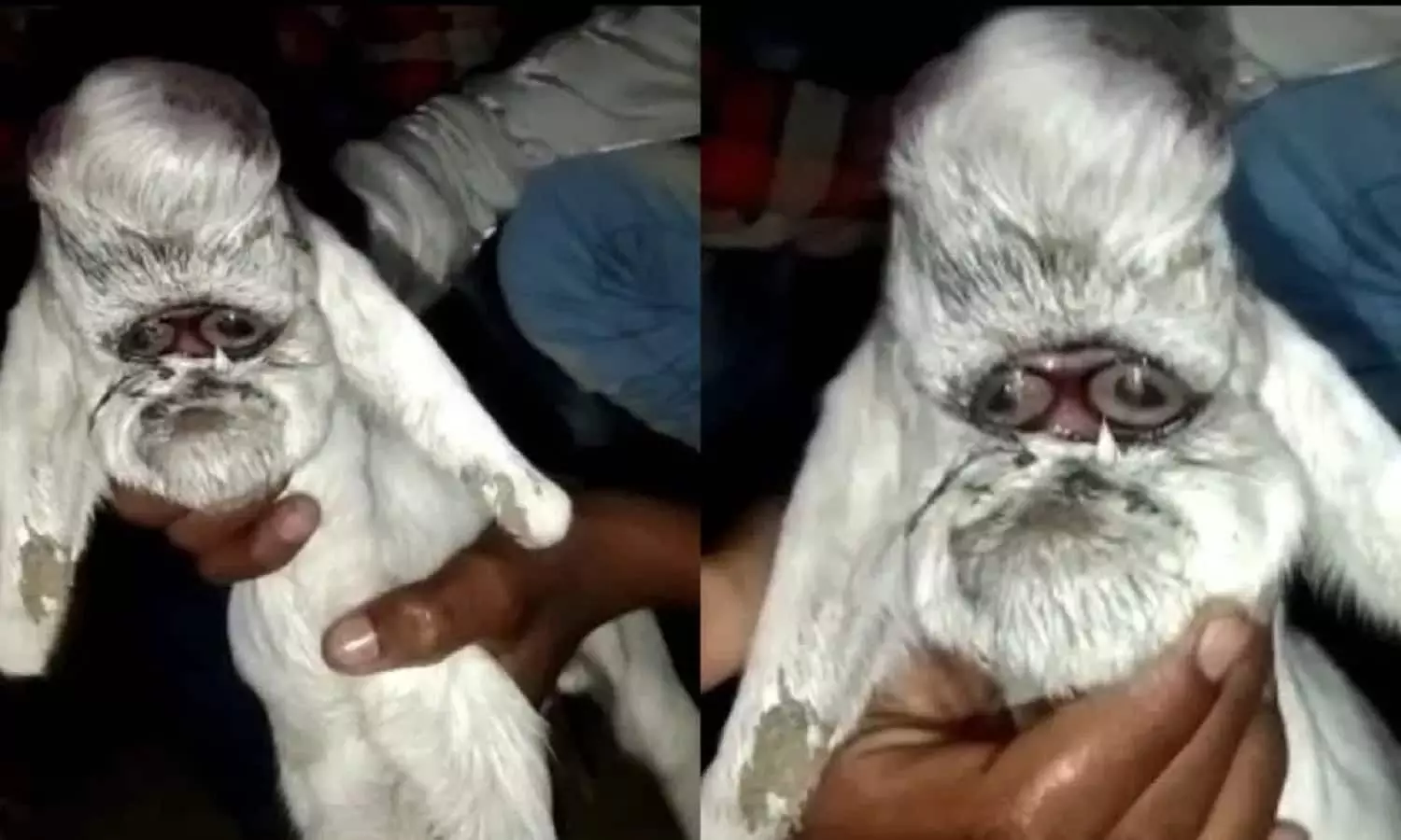 MP Vidisha News MP Vidisha News