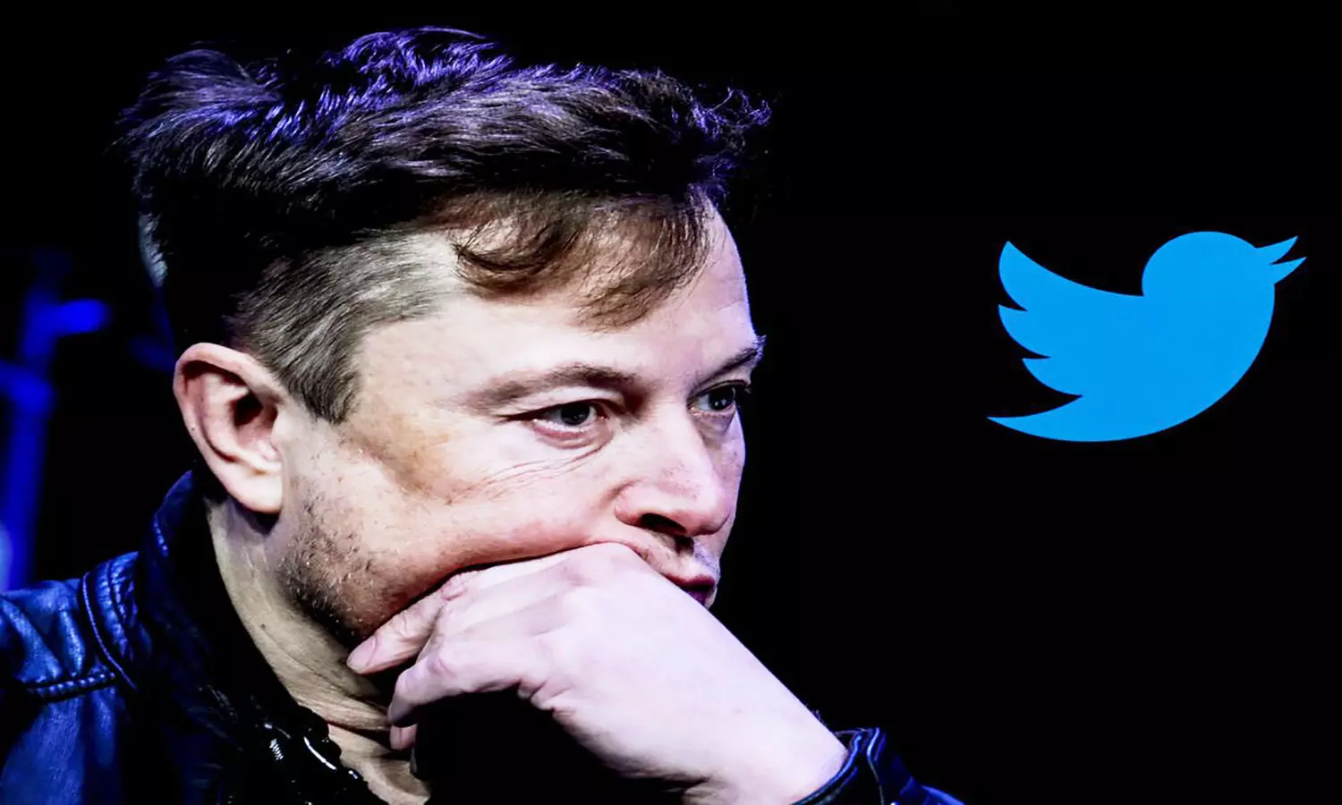 Elon Musk Twitter News: एलन मस्क के फरमान के बाद सैकड़ों कर्मचारियों ने ट्विटर से दिया इस्तीफा